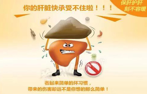 做好肝脏养护工作，对伤肝行为说“不”