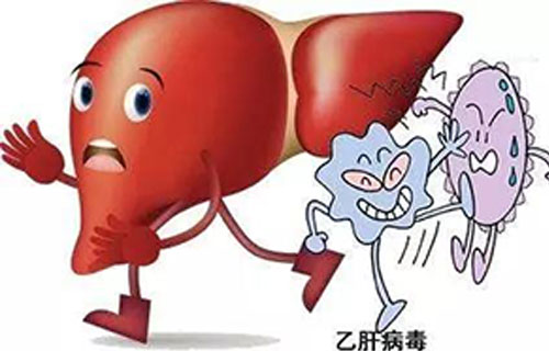 慢性乙型肝炎的中医治疗调护，守护你的小心“肝”