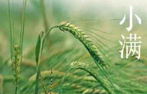 【小满节气】关于肝保护措施，你知道几种？