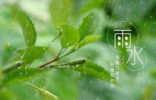 雨水过后应该如何养肝？