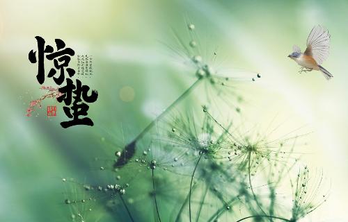 “惊蛰”不“惊”肝，妙招随我看