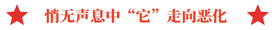 02.png