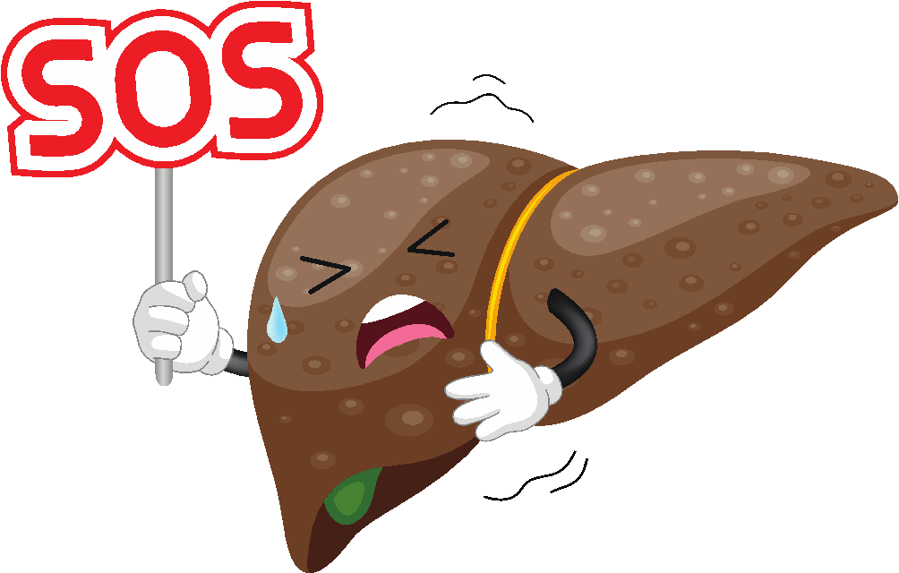 02.png