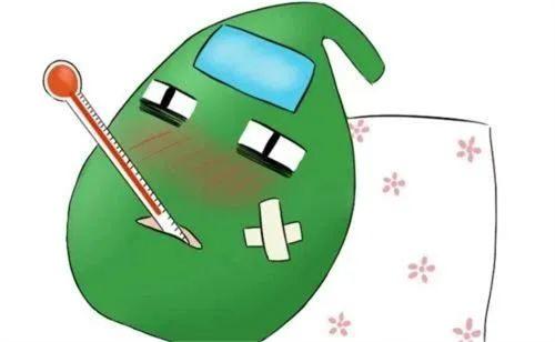 网事医读丨63岁蔡明“胆被摘除”敲响胆囊健康警钟