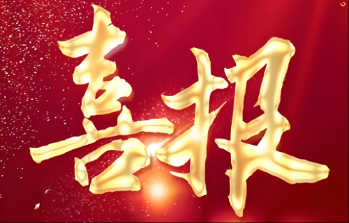 喜报｜我院在全市职工运动会乒乓球比赛中获佳绩